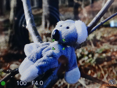 Fotíme s Koalou: Ostření