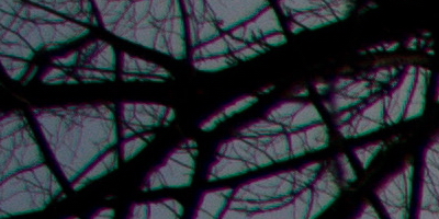 Sony SAL-18250 (DT 18-250mm F3,5-6,3)