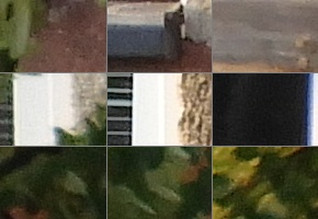 Nikon Coolpix B700: přírodovědec