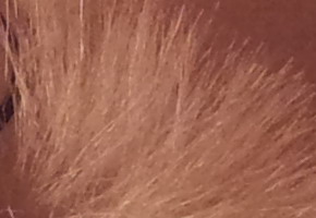 Samsung Galaxy S II: přemožitel kompaktů?