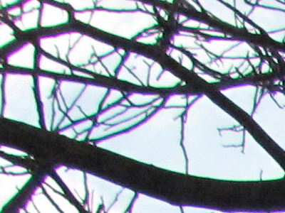 Canon PowerShot SX120 IS: zraje jako víno