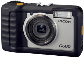 Přehled výrobců kompaktů