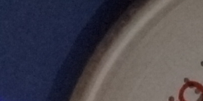 Sony SLT-A77: megapixelový přeborník