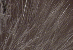 Olympus PEN E-P3: král všech PENů