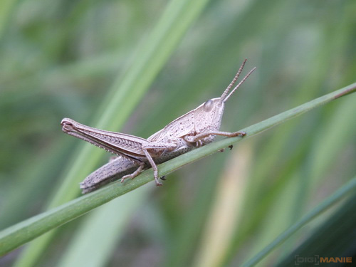 Fujifilm FinePix HS20EXR: důstojný nástupce