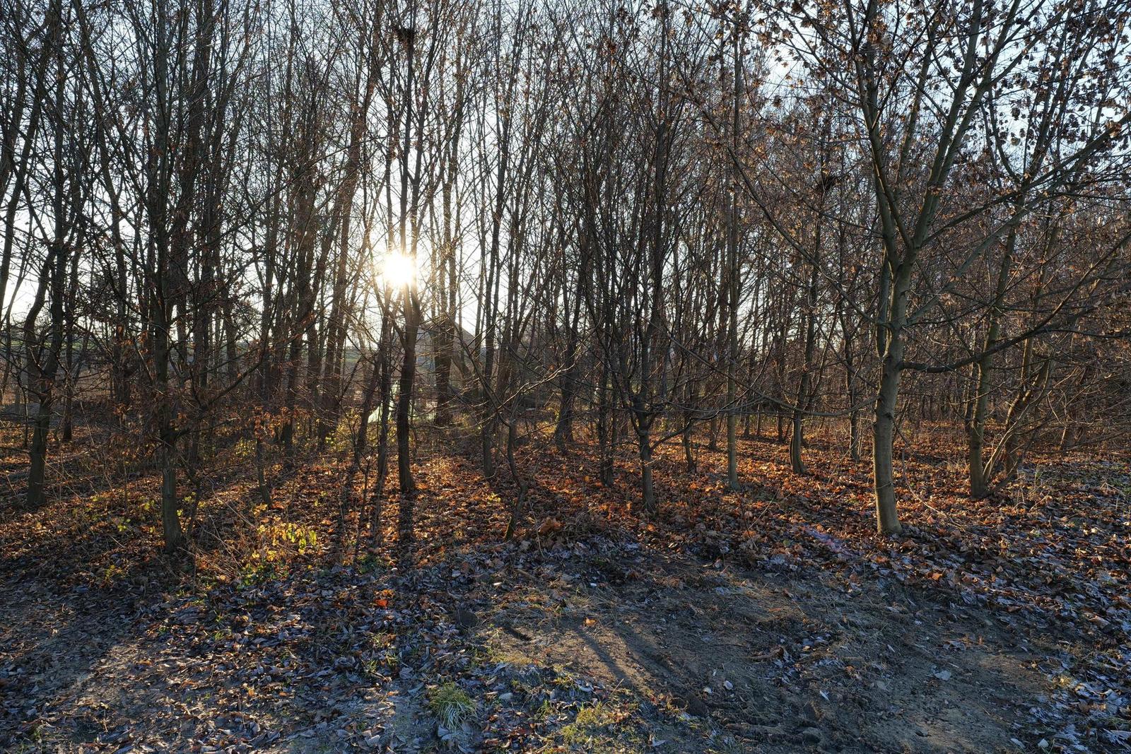 Panasonic Lumix S 20-60mm F3.5-5.6