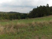 HP Photosmart R817: To nejlepší od HP