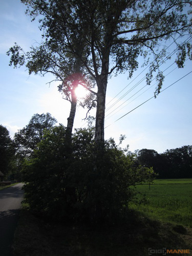 Canon IXUS 220 HS: multifunkční Karkulka