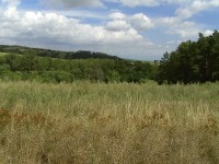 Acer CP-8660: zajímavý rebrand