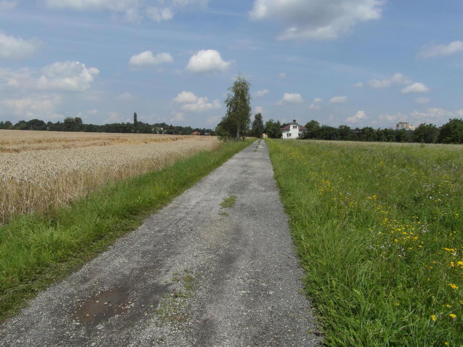 Samsung WB700: schopná šedá myška