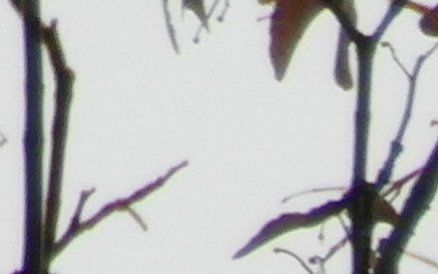 Samsung WB750: splnil očekávání?