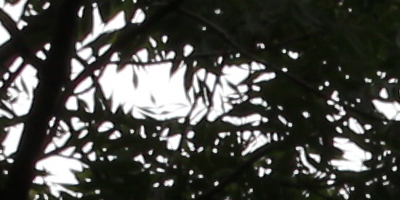 Canon EF-S 18-55mm F3,5-5,6 IS STM