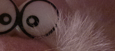 Nokia Lumia 1020 vs. 808 PureView