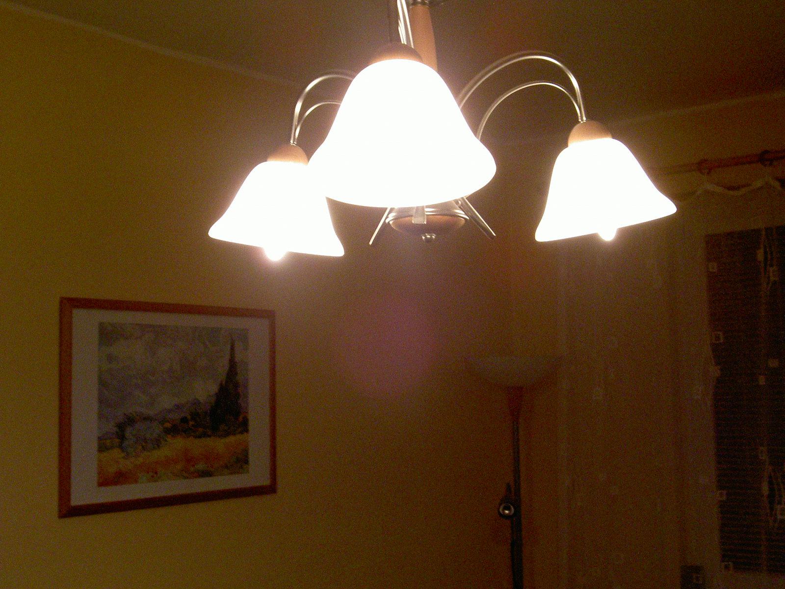 Další velmi rychlé géčko