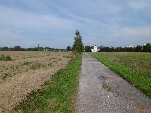 BenQ DC T1260: přítel citlivé peněženky