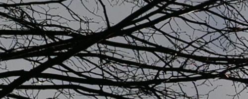 Panasonic Leica DG Vario-Summilux 10-25mm F1.7 ASPH.