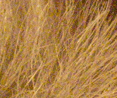 Samsung NX100: "zrcadlovka" do kapsy