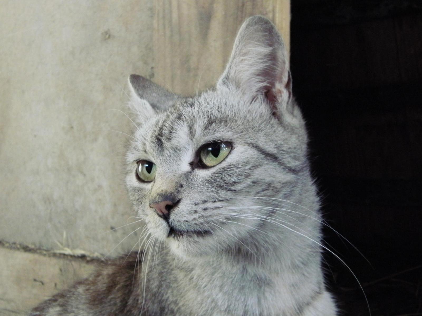 Casio EXILIM FH25: univerzální sportovec