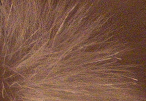 Panasonic Lumix FZ72: nejširší i nejdelší