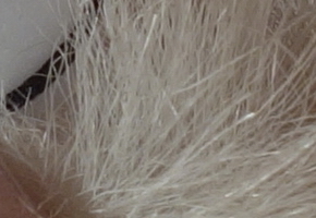 Sony Cyber-shot RX100: terminátor zrcadlovek