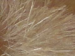 Sony Cyber-shot W570: jde to i s 16 megapixely