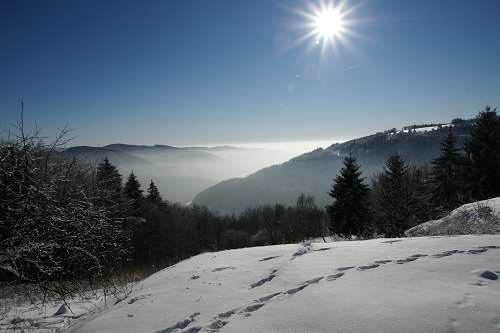 Zrcadlovka a já: Soutěžím, soutěžíš, soutěžíme
