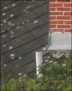 Stativ - nejlepší přítel fotografa