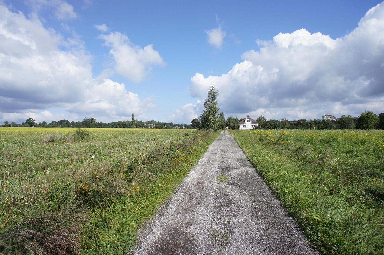 Sony NEX-5: netradiční minimalista