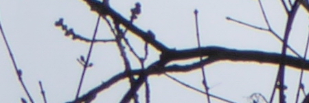 Panasonic Lumix TZ70: krůček k profi ultrazoomu