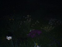 Téma pro tento měsíc - Jak fotí fotomobily, díl I.