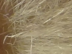 Sony Cyber-shot TX10: odolný zálesák