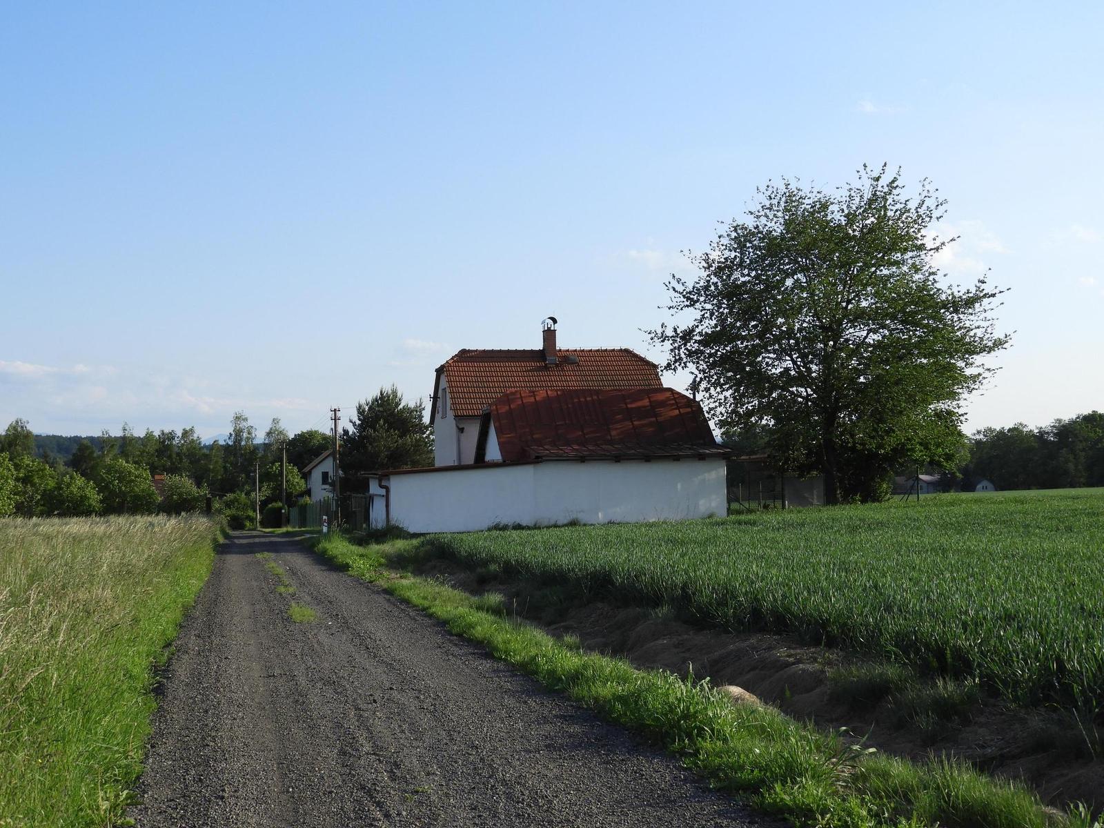 Nikon Coolpix B700: přírodovědec