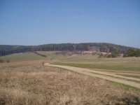 Olympus Camedia C-470 Zoom: Americký D-590