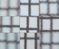 Fujifilm X-S1: jedinečný