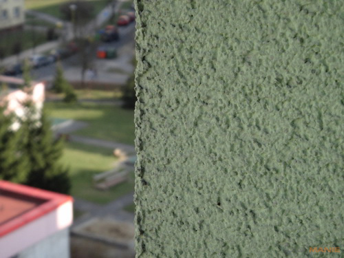 Sony Cyber-shot TX10: odolný zálesák