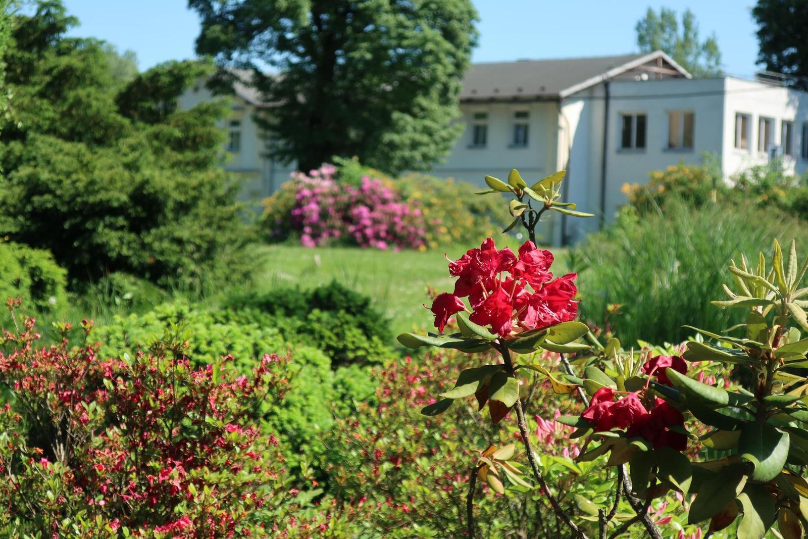 Canon PowerShot G9 X Mark II: kapesní borec