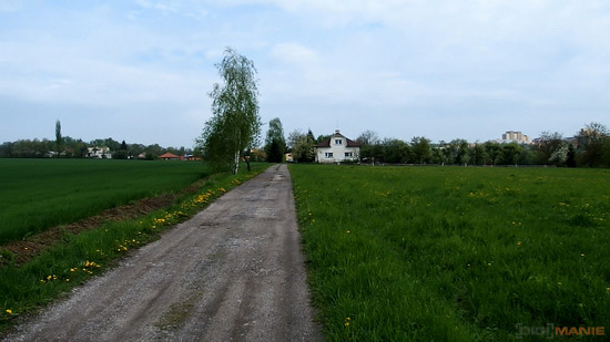 Olympus Stylus XZ-2: jednoduše skvělý