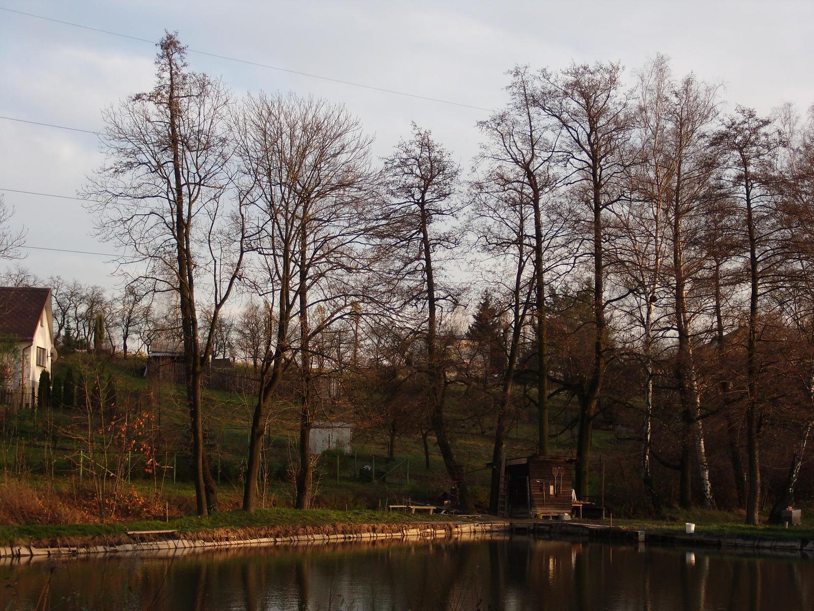 BenQ DC E1050: různorodý jako aprílové počasí