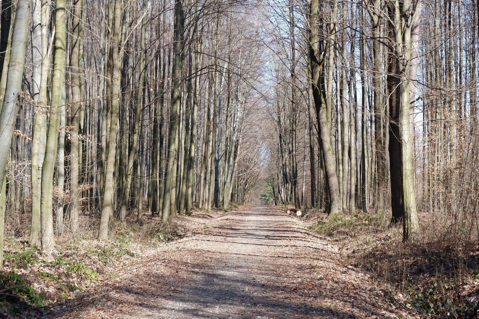 Fujifilm X-T100: postřehy z praxe