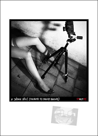 Ejhle člověk 37: sám sobě nakladatelem