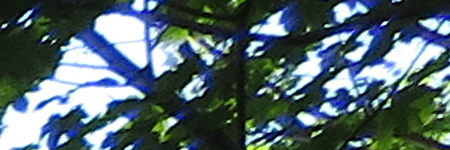 Canon PowerShot SX720 HS: kapesní šmírování