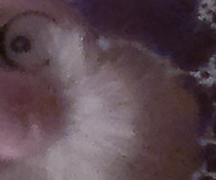 Nokia C7: pro fotící manažery