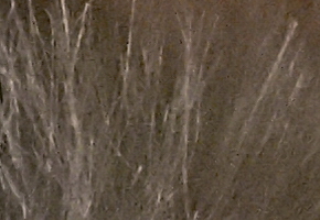 Olympus PEN E-PL5: s výkonnějším srdcem