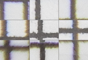 Nikon Coolpix B700: přírodovědec