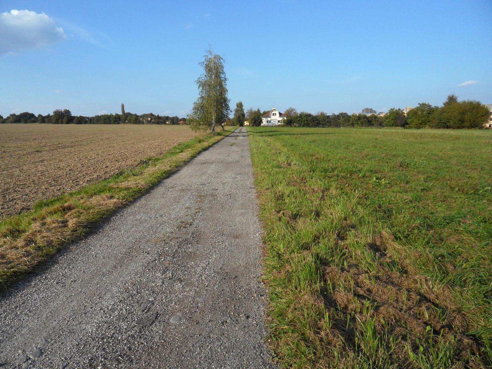 Samsung WB210: dotkněte se 21 milimetrů!