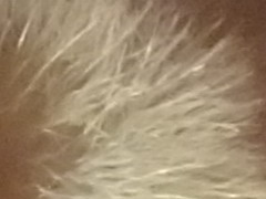 Sony Cyber-shot WX7: překoná skvělou WX5?