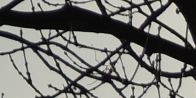 Sony SAL-70400G (70-400mm F4-5,6 SSM G)