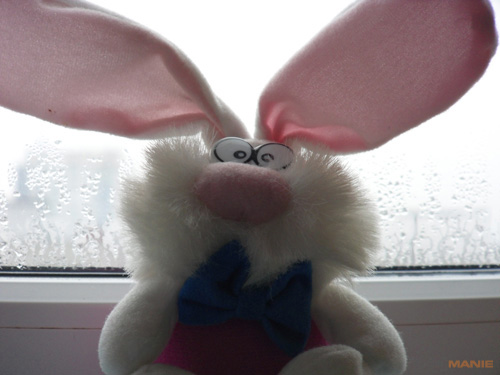 Samsung ST1000: nabitý technologiemi