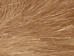 Olympus XZ-1: trefa do černého