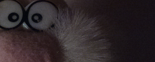 Nokia 808 PureView: mobilní zrcadlovkobijec